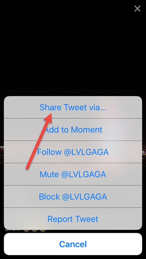 how to download twitter videos on iphone